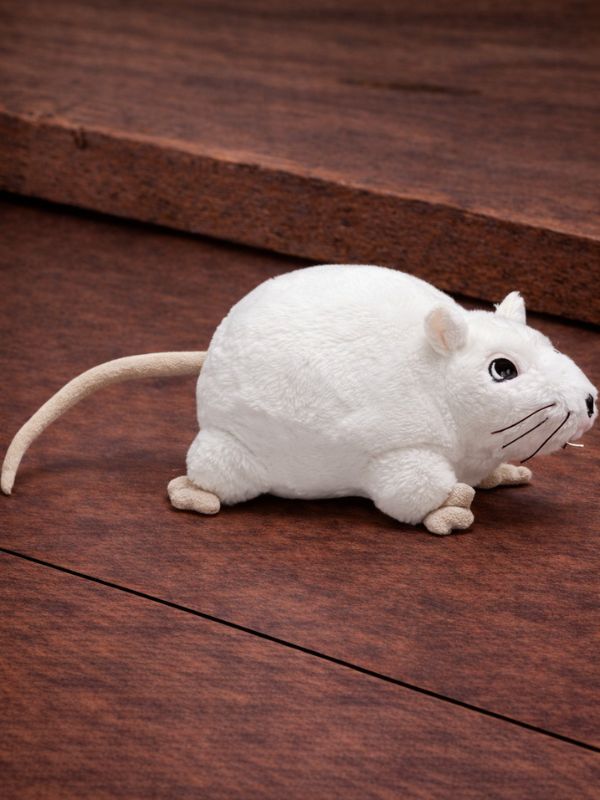 Rat Soft Toy